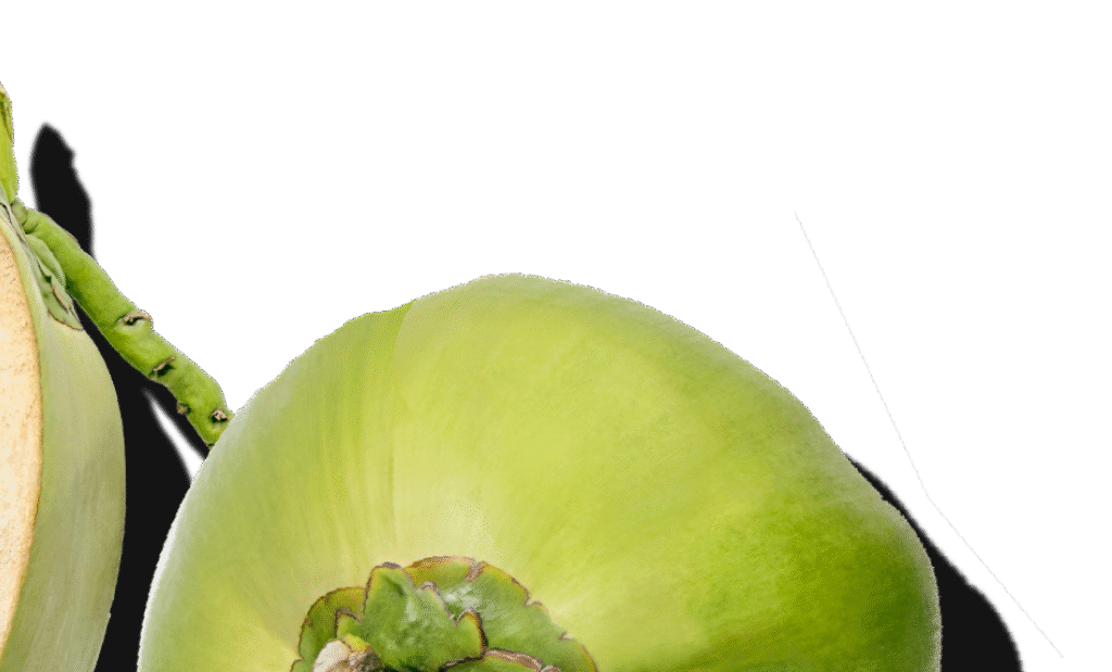 Coconut Water Concentrate FAQs