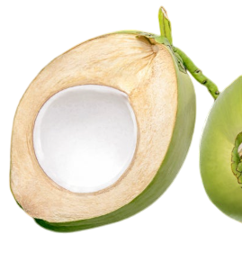 Coconut Water Premix Supplier from india