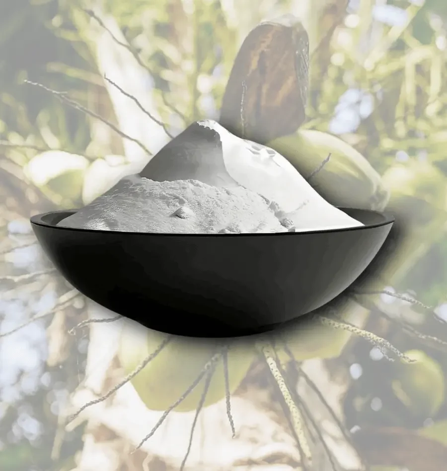 Coconut water Powder